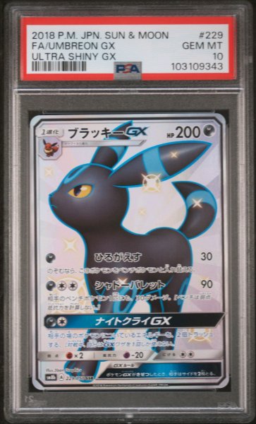 画像1: ブラッキーGX SSR PSA10 (1)