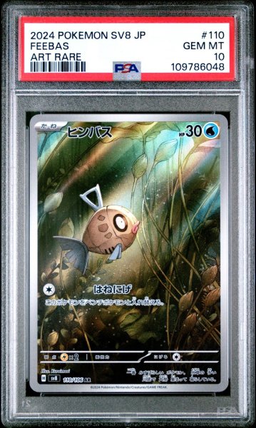 画像1: ヒンバス AR PSA10 (1)