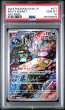 画像1: アラブルタケ AR PSA10 (1)
