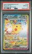 画像1: ピカチュウex sar PSA10 (1)