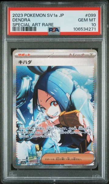 画像1: キハダ SAR PSA10 (1)